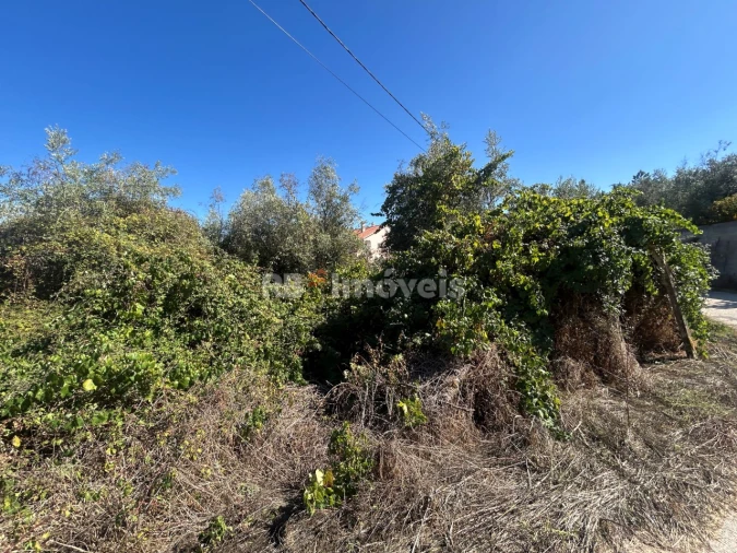 Terreno para Venda em Serra e Junceira Foto 6