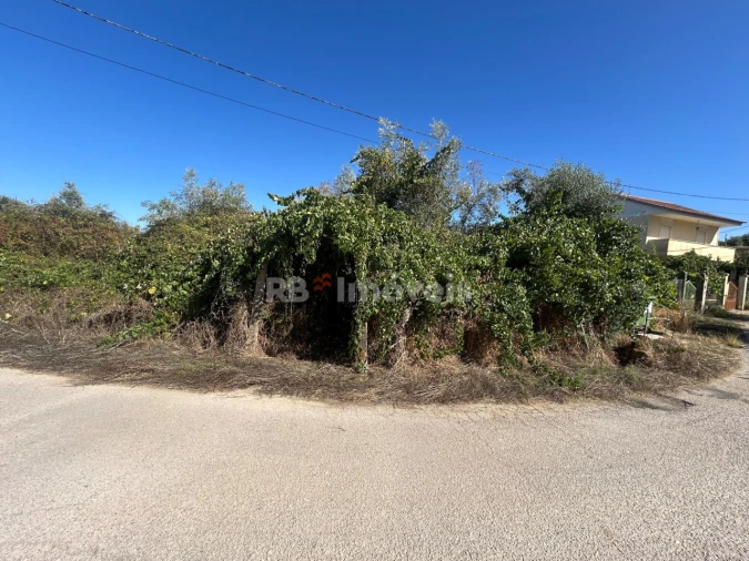Terreno para Venda em Serra e Junceira Foto 1