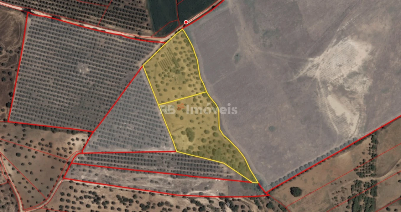 Terreno Agricola ou Rústico para Venda em Brogueira, Parceiros de Igreja e Alcorochel Foto 1