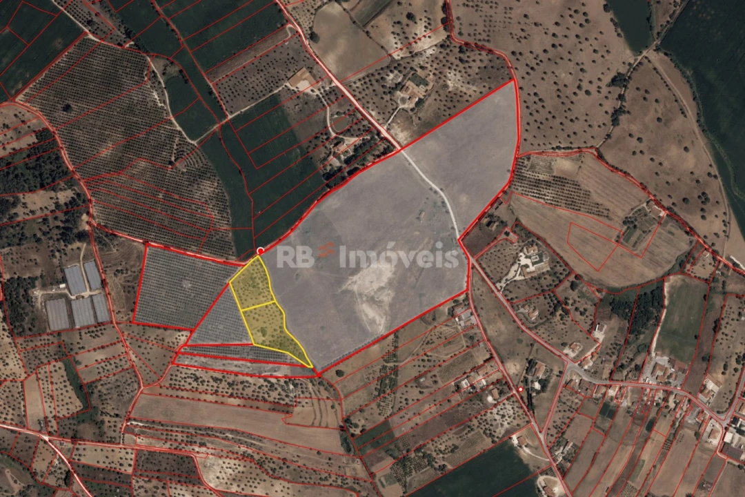 Terreno Agricola ou Rústico para Venda em Brogueira, Parceiros de Igreja e Alcorochel Foto 4