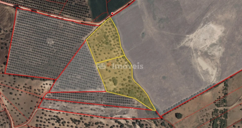 Terreno Agricola ou Rústico para Venda em Brogueira, Parceiros de Igreja e Alcorochel Foto 1