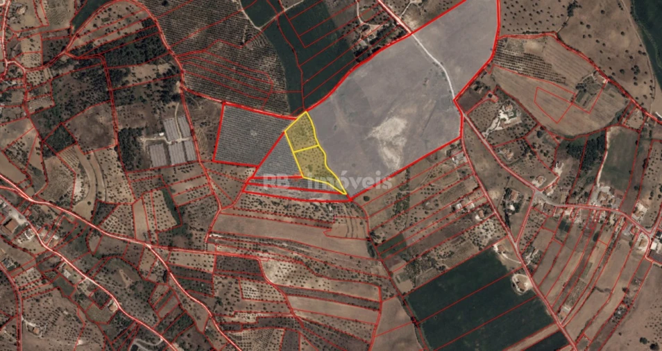 Terreno Agricola ou Rústico para Venda em Brogueira, Parceiros de Igreja e Alcorochel Foto 3