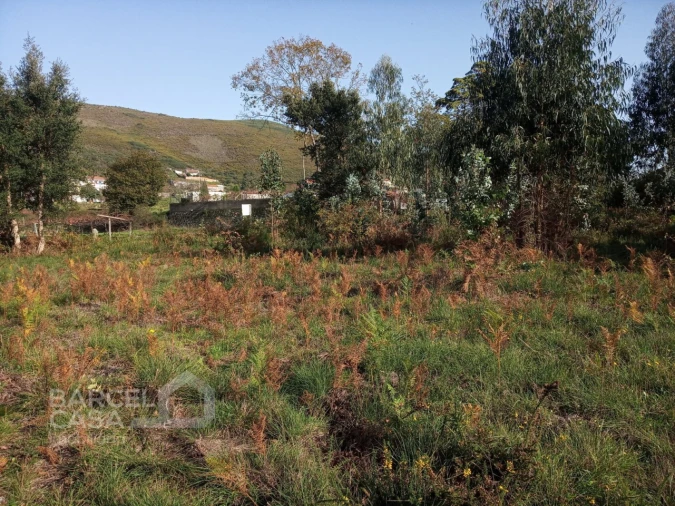 Terreno para Venda em Barroselas e Carvoeiro Foto 12