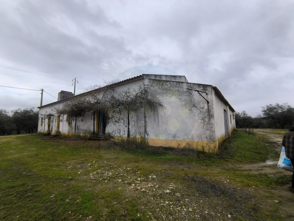 Quinta para Venda em Valhascos Foto 1