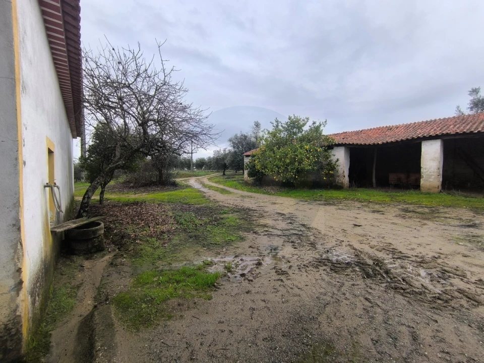 Quinta para Venda em Valhascos Foto 8