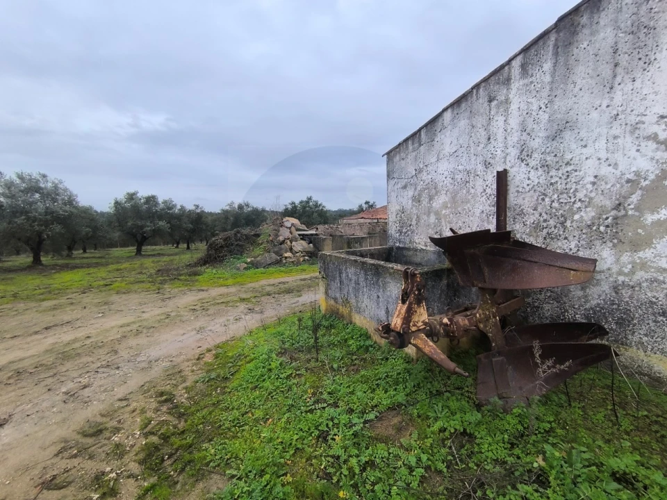 Quinta para Venda em Valhascos Foto 12