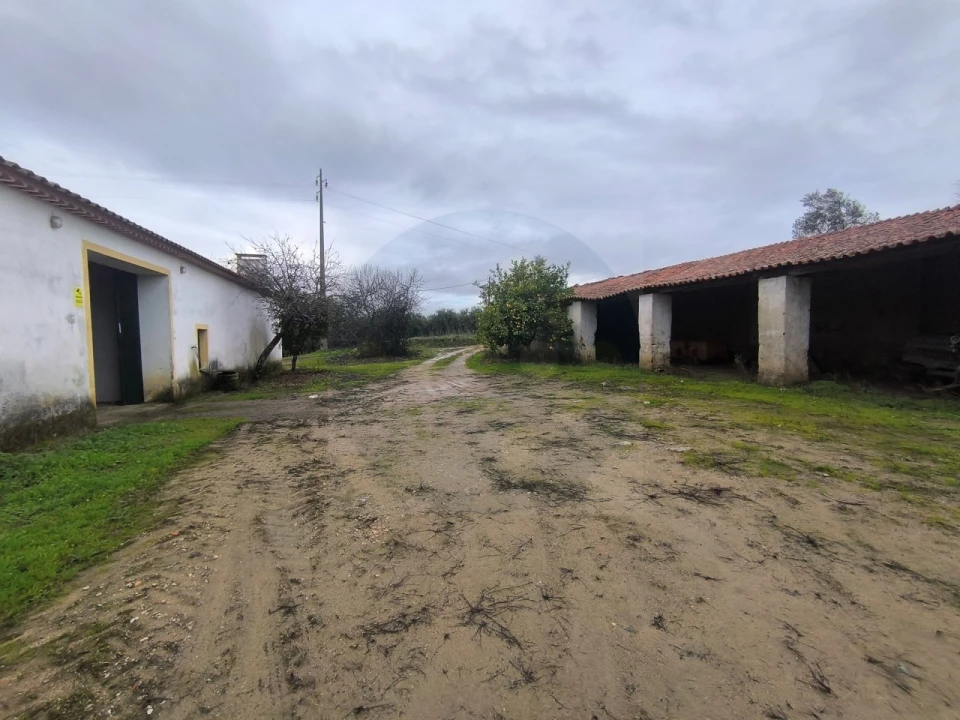 Quinta para Venda em Valhascos Foto 14