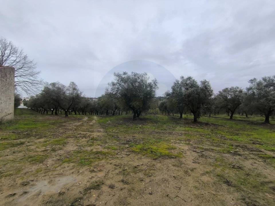 Quinta para Venda em Valhascos Foto 20