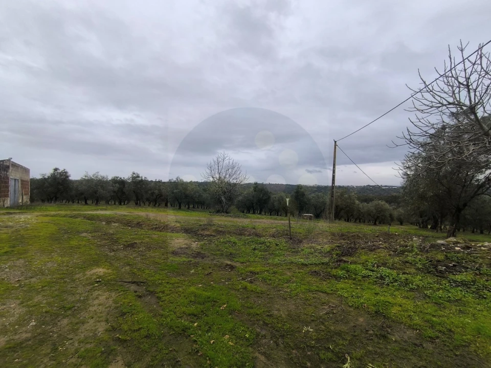 Quinta para Venda em Valhascos Foto 22