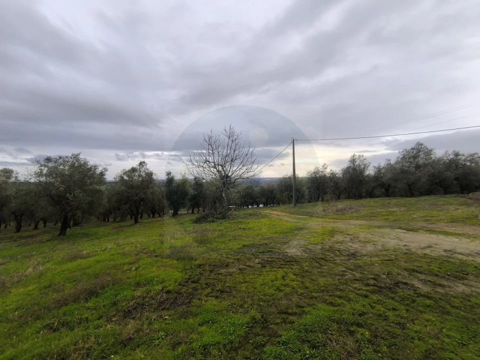 Quinta para Venda em Valhascos Foto 28