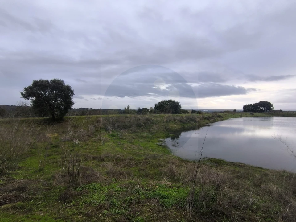 Quinta para Venda em Valhascos Foto 39