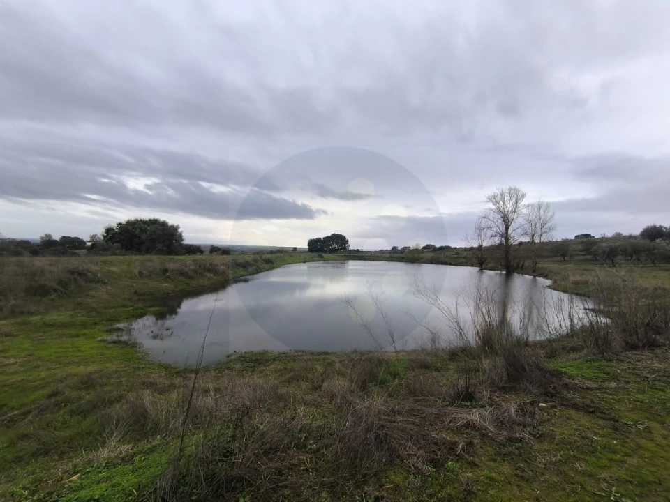 Quinta para Venda em Valhascos Foto 40
