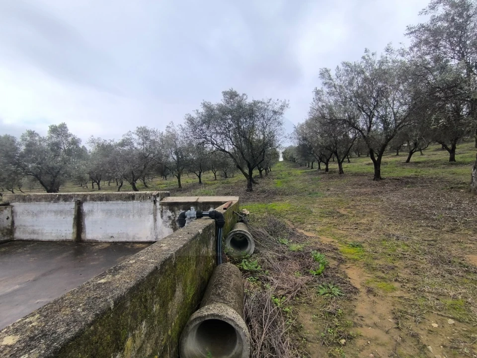 Quinta para Venda em Valhascos Foto 42