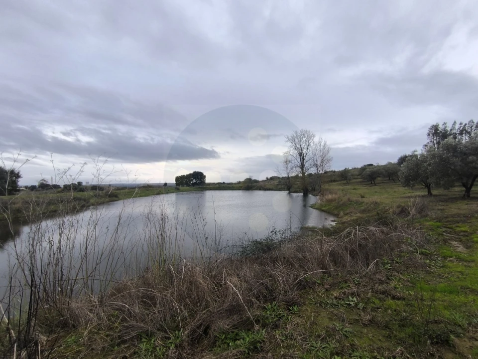 Quinta para Venda em Valhascos Foto 45