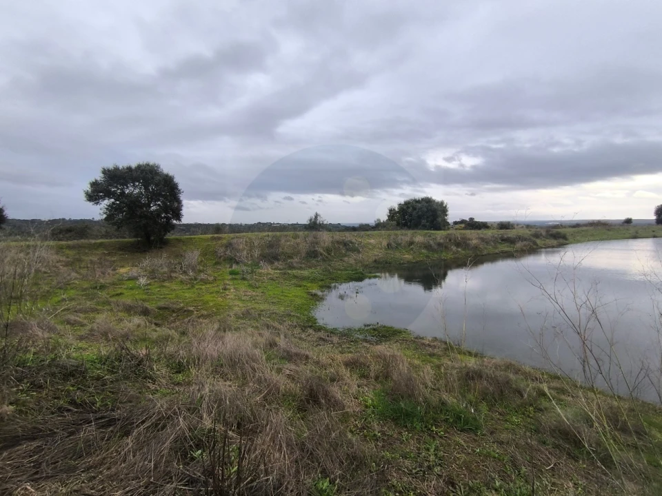 Quinta para Venda em Valhascos Foto 46