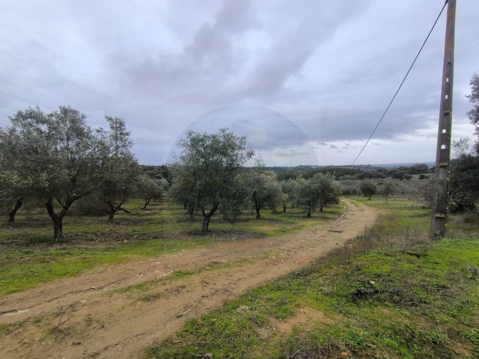 Quinta para Venda em Valhascos Foto 47