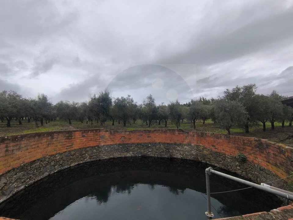 Quinta para Venda em Valhascos Foto 49