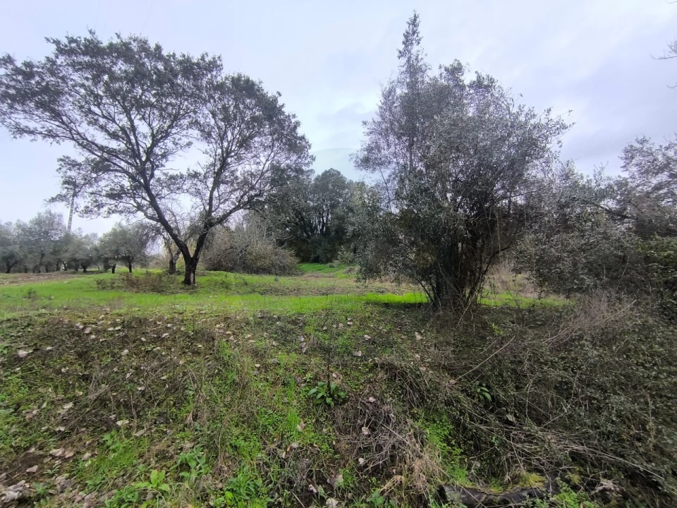 Quinta para Venda em Valhascos Foto 57