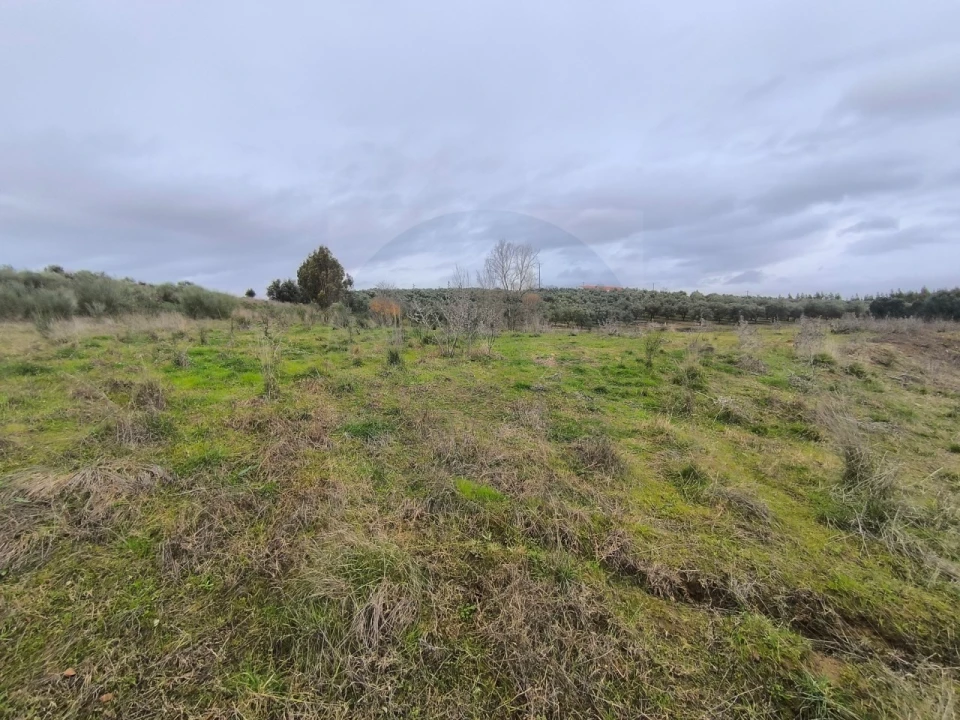 Quinta para Venda em Valhascos Foto 58