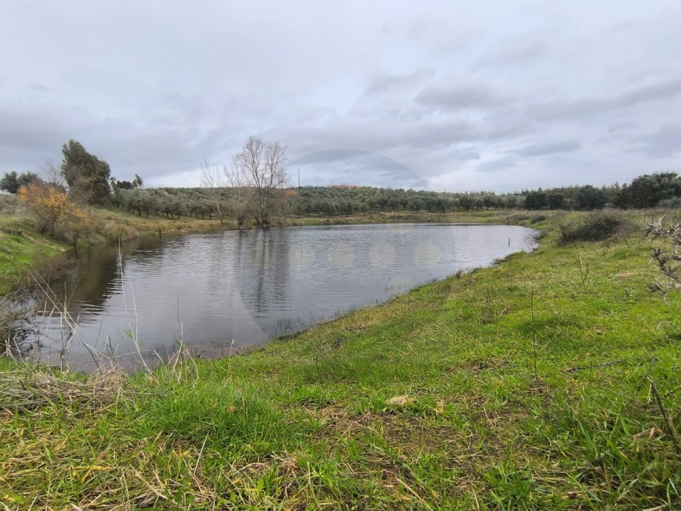 Quinta para Venda em Valhascos Foto 59