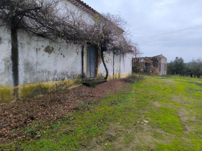 Quinta para Venda em Valhascos Foto 2