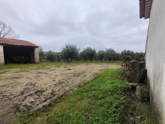 Quinta para Venda em Valhascos Foto 7