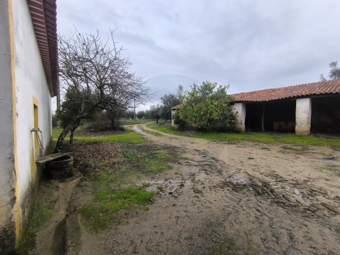 Quinta para Venda em Valhascos Foto 8