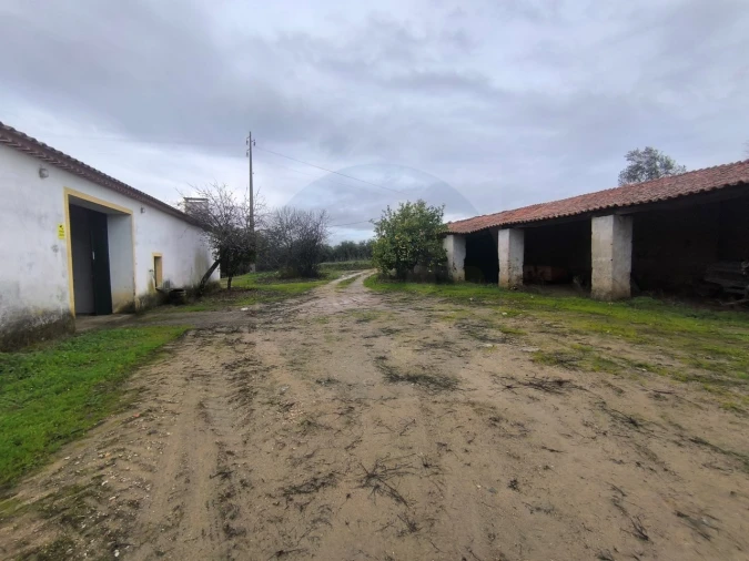 Quinta para Venda em Valhascos Foto 14