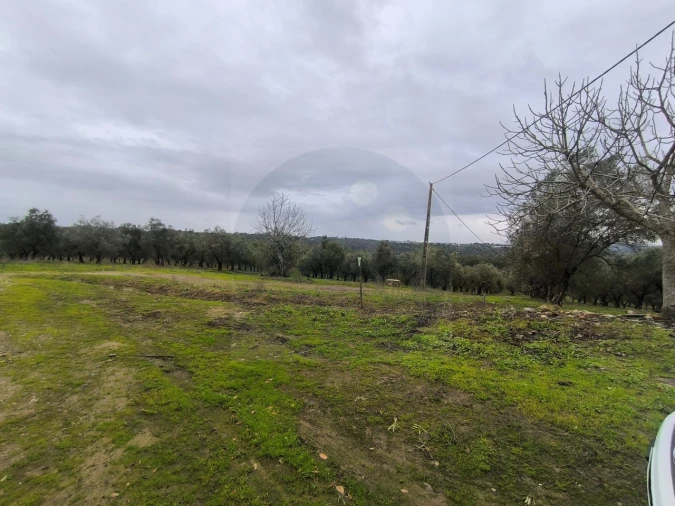 Quinta para Venda em Valhascos Foto 21