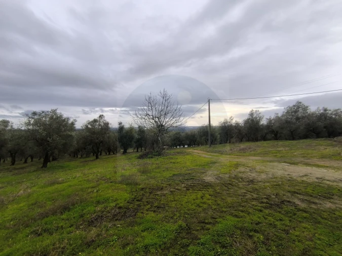 Quinta para Venda em Valhascos Foto 28