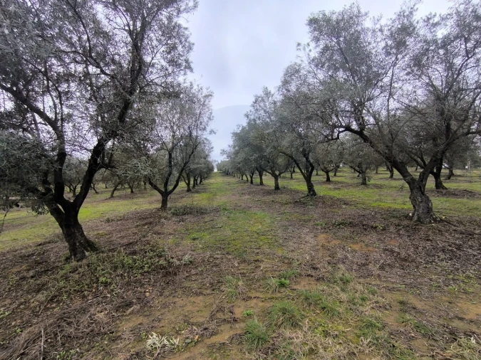 Quinta para Venda em Valhascos Foto 38