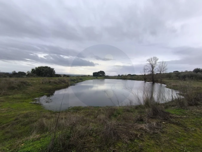 Quinta para Venda em Valhascos Foto 40