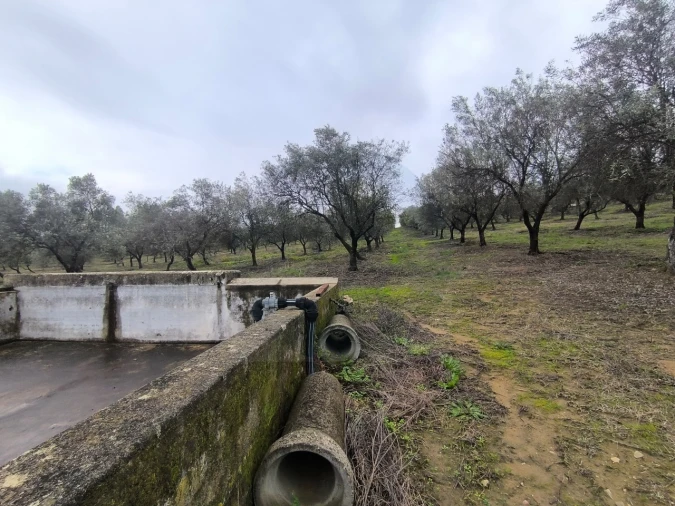 Quinta para Venda em Valhascos Foto 42