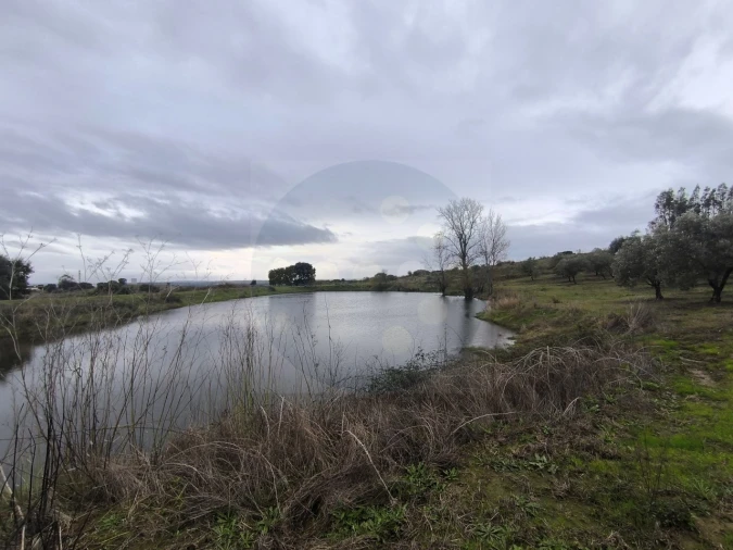 Quinta para Venda em Valhascos Foto 45