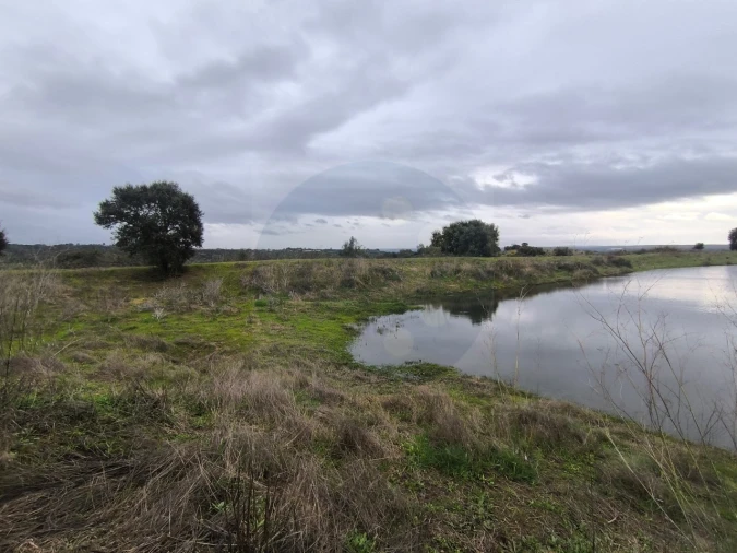 Quinta para Venda em Valhascos Foto 46