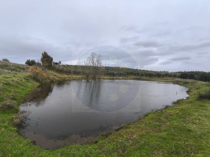 Quinta para Venda em Valhascos Foto 50