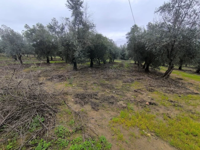 Quinta para Venda em Valhascos Foto 54