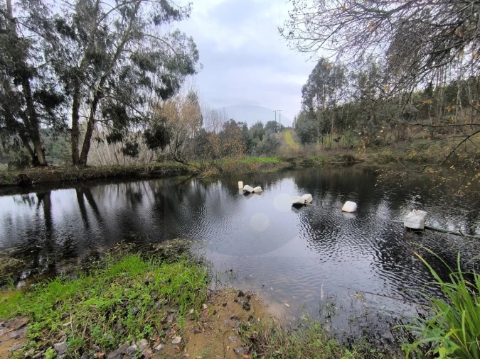 Quinta para Venda em Valhascos Foto 56