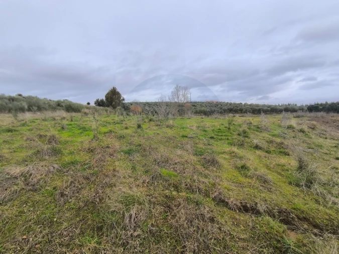 Quinta para Venda em Valhascos Foto 58