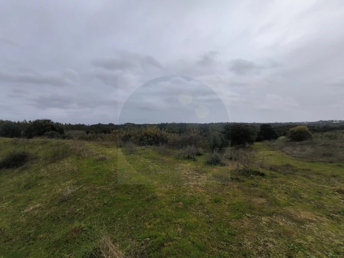 Quinta para Venda em Valhascos Foto 60