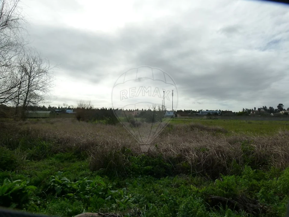 Terreno para Venda em Mira Foto 3