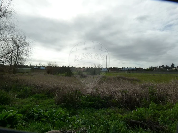 Terreno para Venda em Mira Foto 3