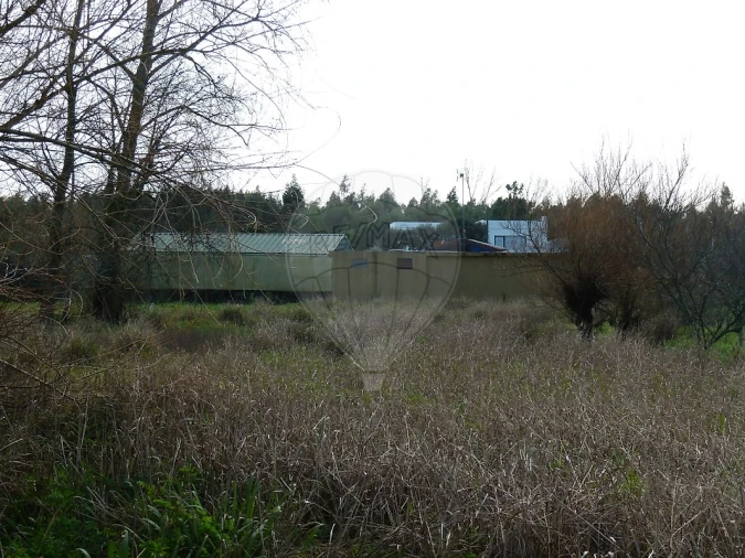 Terreno para Venda em Mira Foto 2