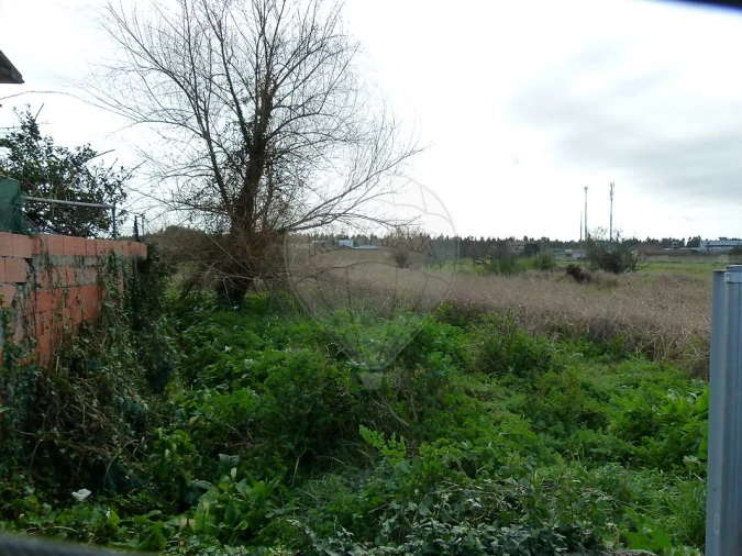 Terreno para Venda em Mira Foto 4