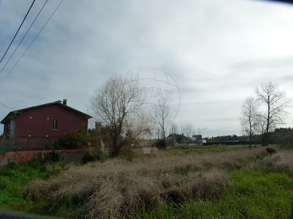 Terreno para Venda em Mira Foto 7