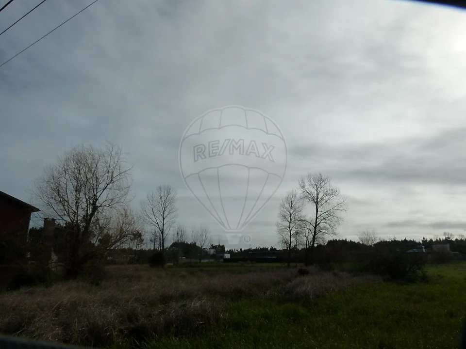 Terreno para Venda em Mira Foto 11