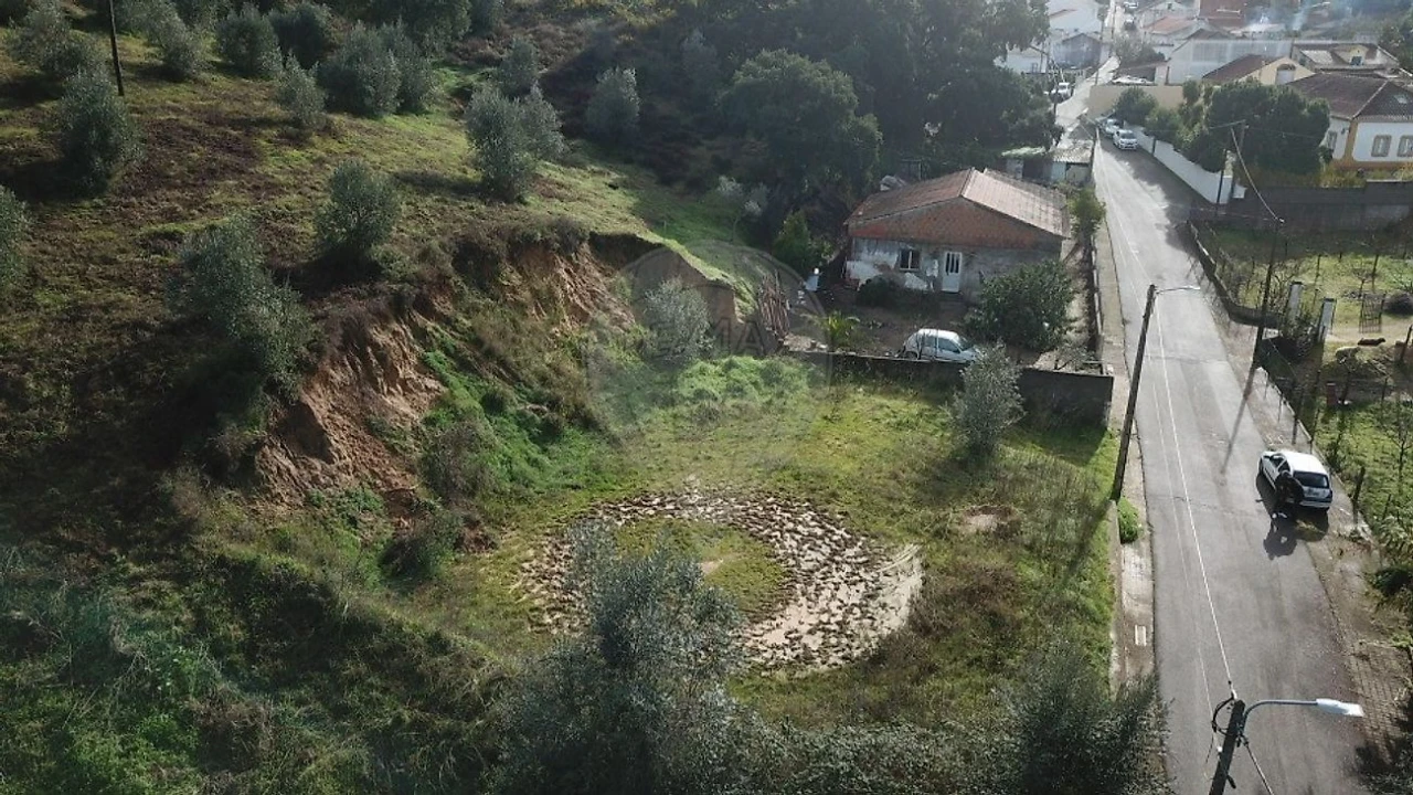 Terreno para Venda em Chamusca e Pinheiro Grande Foto 5