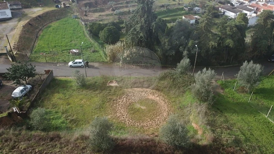 Terreno para Venda em Chamusca e Pinheiro Grande Foto 3