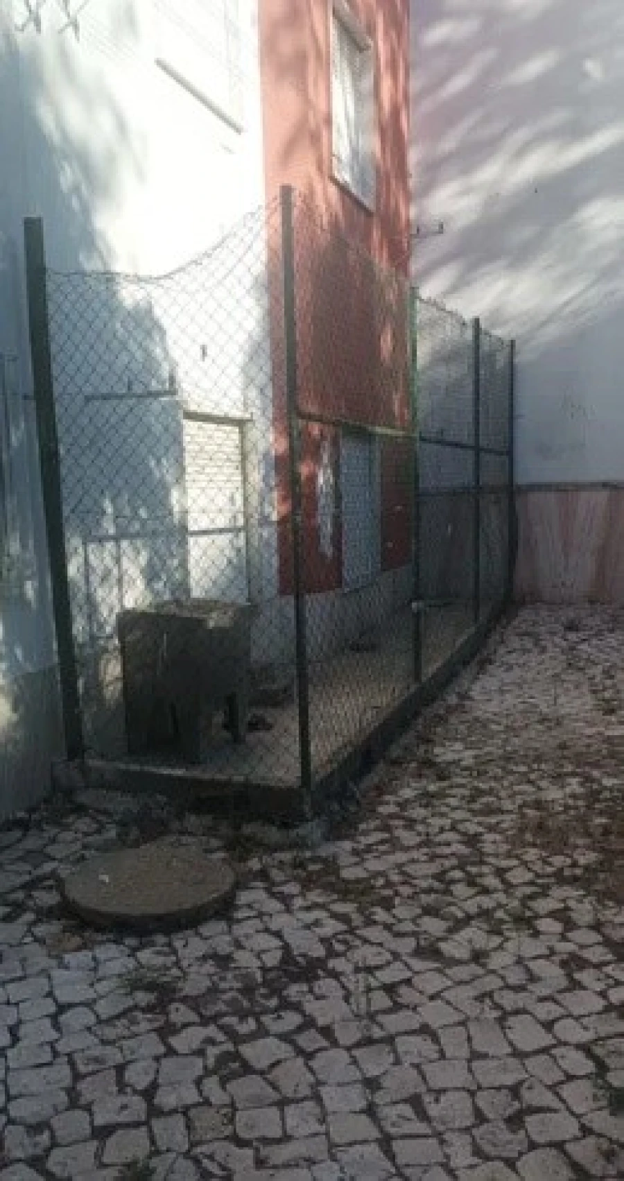 Apartamento T2 para Venda em Águas Livres Foto 8