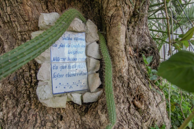 Moradia T3 para Venda em Santa Clara e Castelo Viegas Foto 26